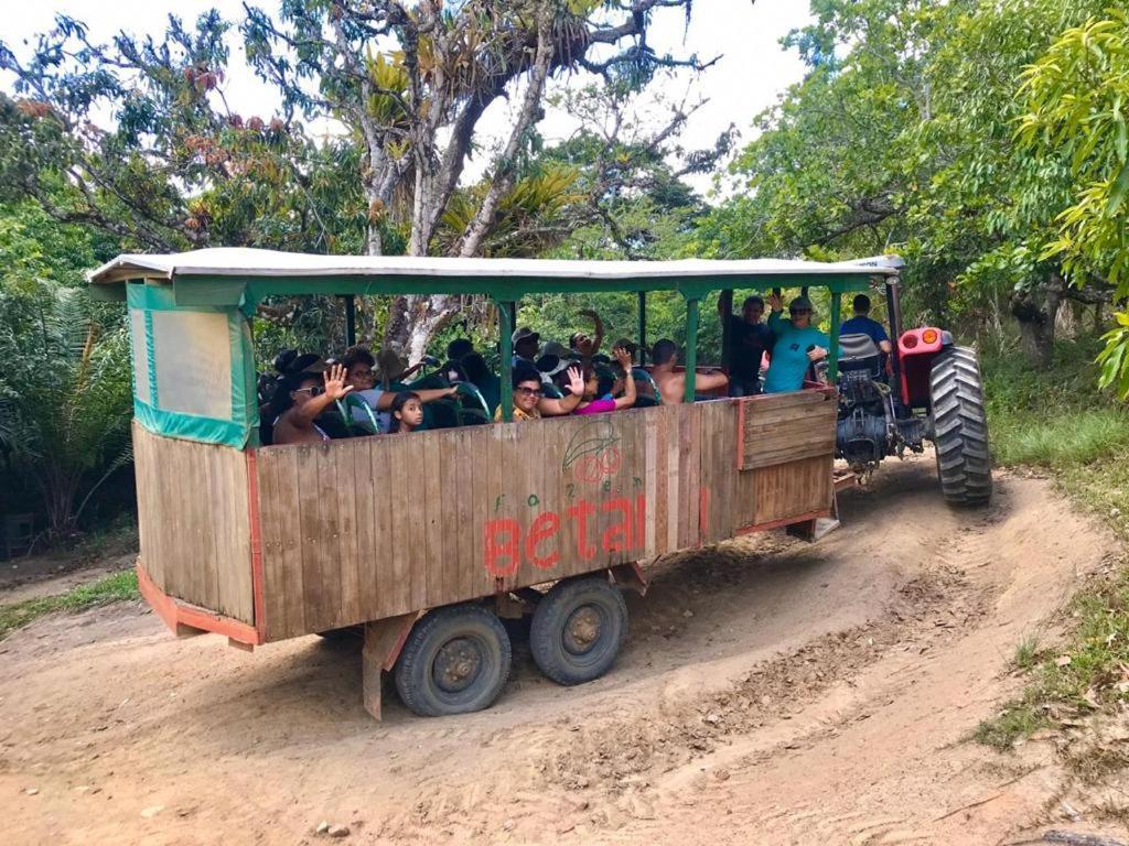 Farm Stay Fazenda Betânia, Iraci, Brazil 