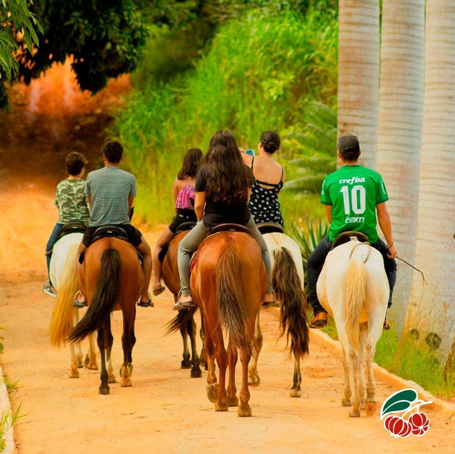 Farm Stay Fazenda Betânia, Iraci, Brazil 